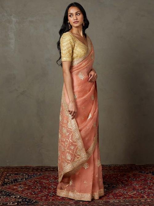 Coral Sterling Saree With Stitched Blouse - Image 3